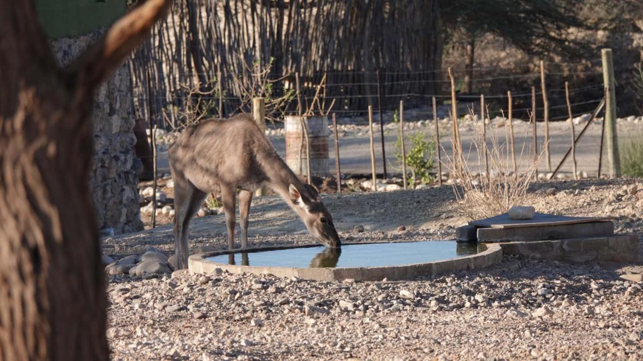 Agama Lodge Солітер Екстер'єр фото